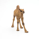 Dromadaire Papo en PVC, Collection Animaux sauvages, jouet éducatif idéal pour enfants et collectionneurs