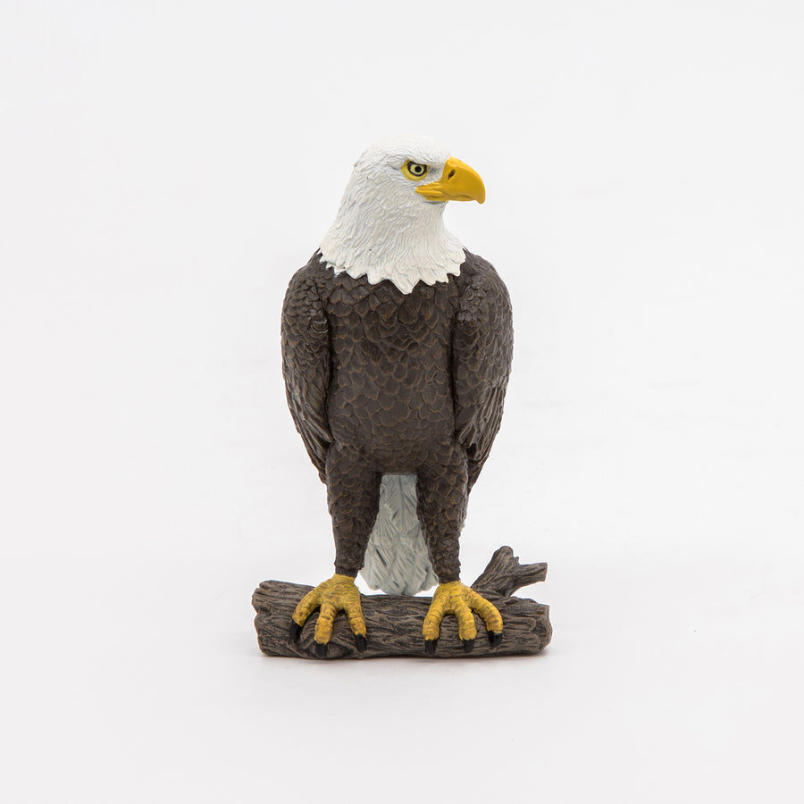 Figurine Pygargue à tête blanche Papo en PVC, thème oiseaux, Collection Animaux sauvages, jouet éducatif idéal pour enfants et collectionneurs