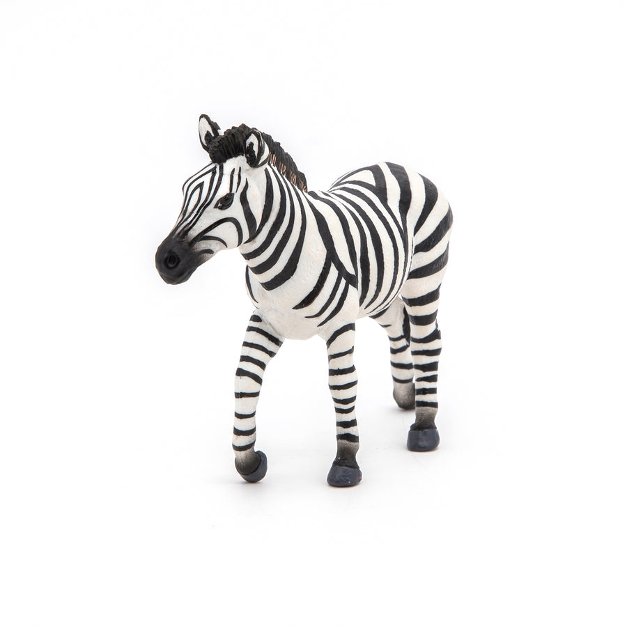Figurine Zèbre mâle Papo en PVC, thème savane, Collection Animaux sauvages, jouet éducatif idéal pour enfants et collectionneurs