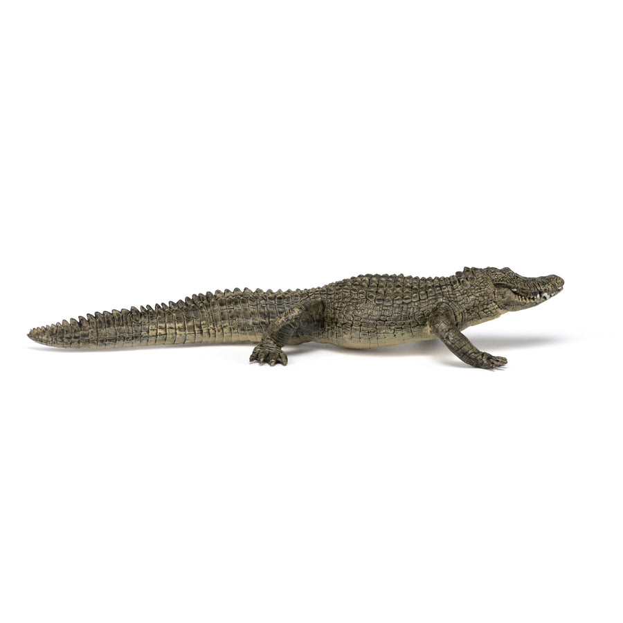 Figurine Alligator Papo en PVC, thème reptiles, Collection Animaux sauvages, jouet éducatif idéal pour enfants et collectionneurs