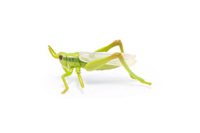Figurine Sauterelle Papo en PVC, thème insectes, Collection Animaux des jardins, jouet éducatif idéal pour enfants et collectionneurs