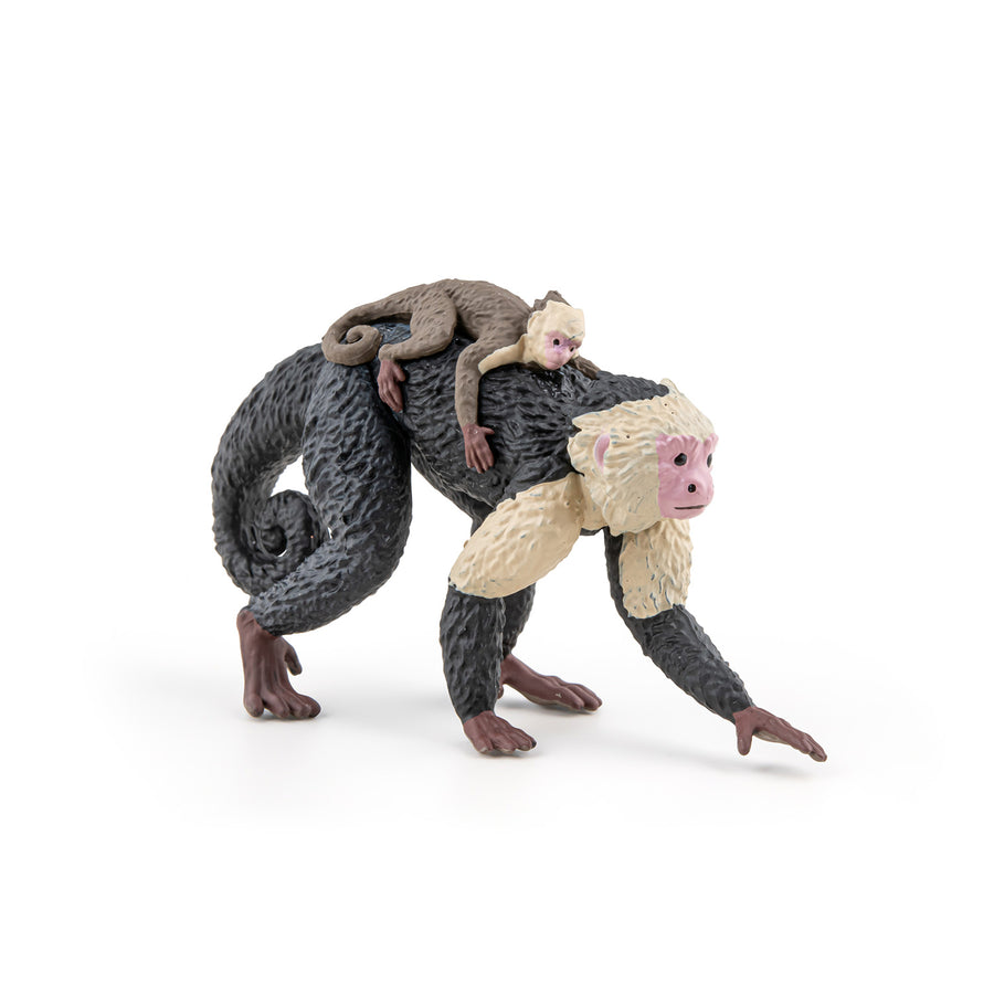 Capucin Papo en PVC, Collection Animaux sauvages, jouet éducatif idéal pour enfants et collectionneurs