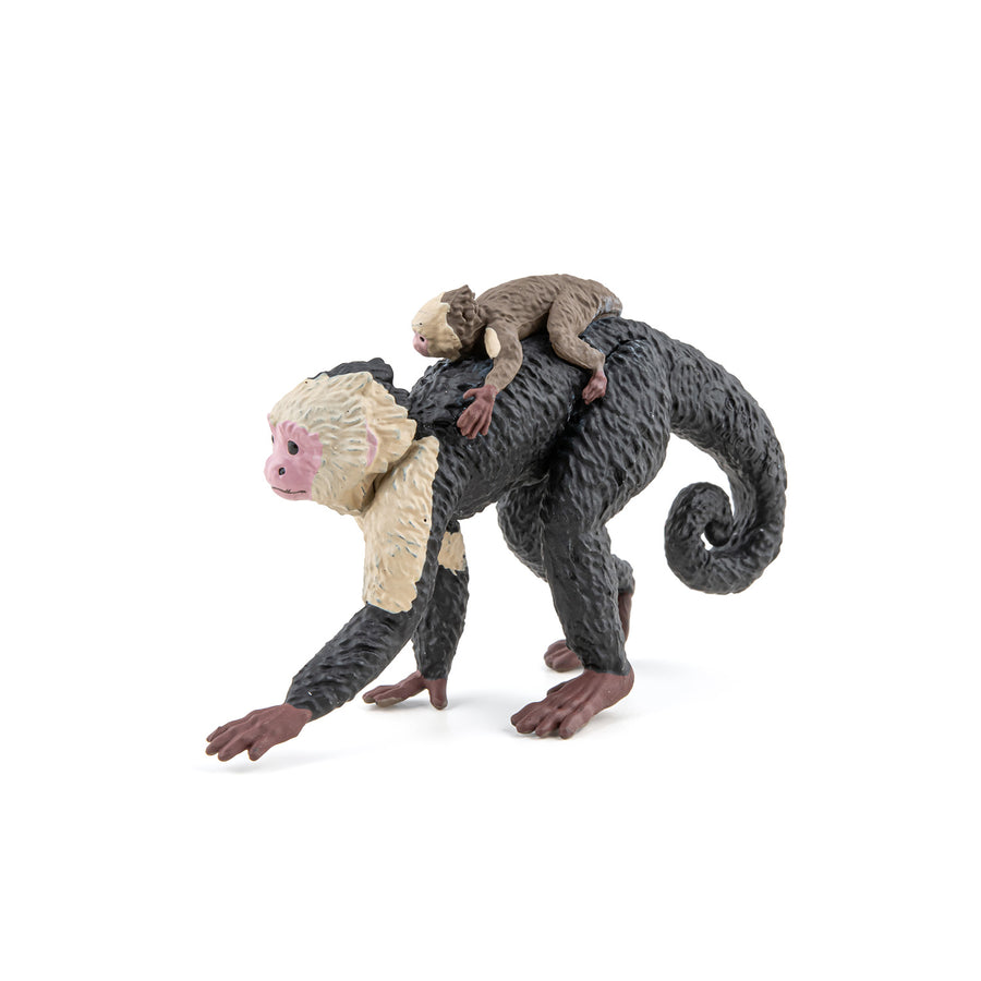 Capucin Papo en PVC, Collection Animaux sauvages, jouet éducatif idéal pour enfants et collectionneurs