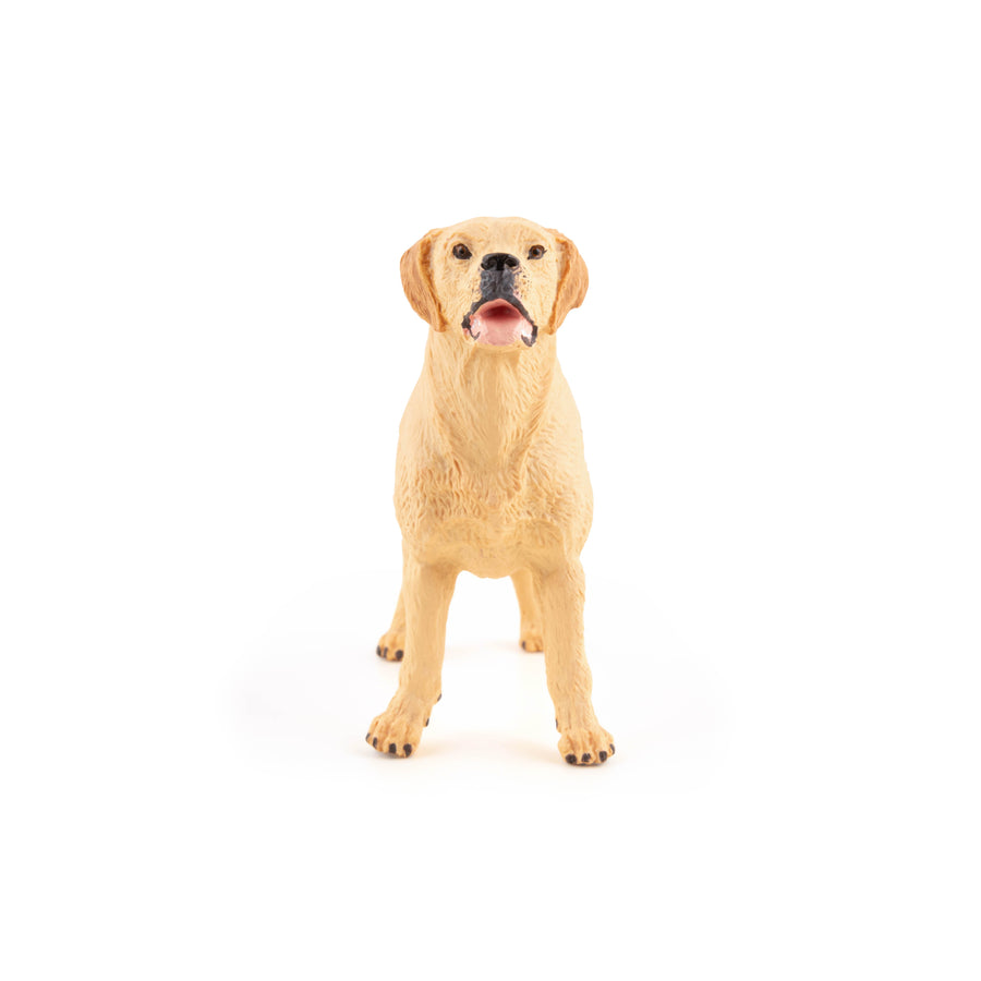 Figurine Labrador Papo en PVC, Collection chiens et chats, jouet éducatif idéal pour enfants et collectionneurs
