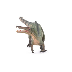 Suchomimus Papo en PVC, Collection Dinosaures, jouet éducatif idéal pour enfants et collectionneurs