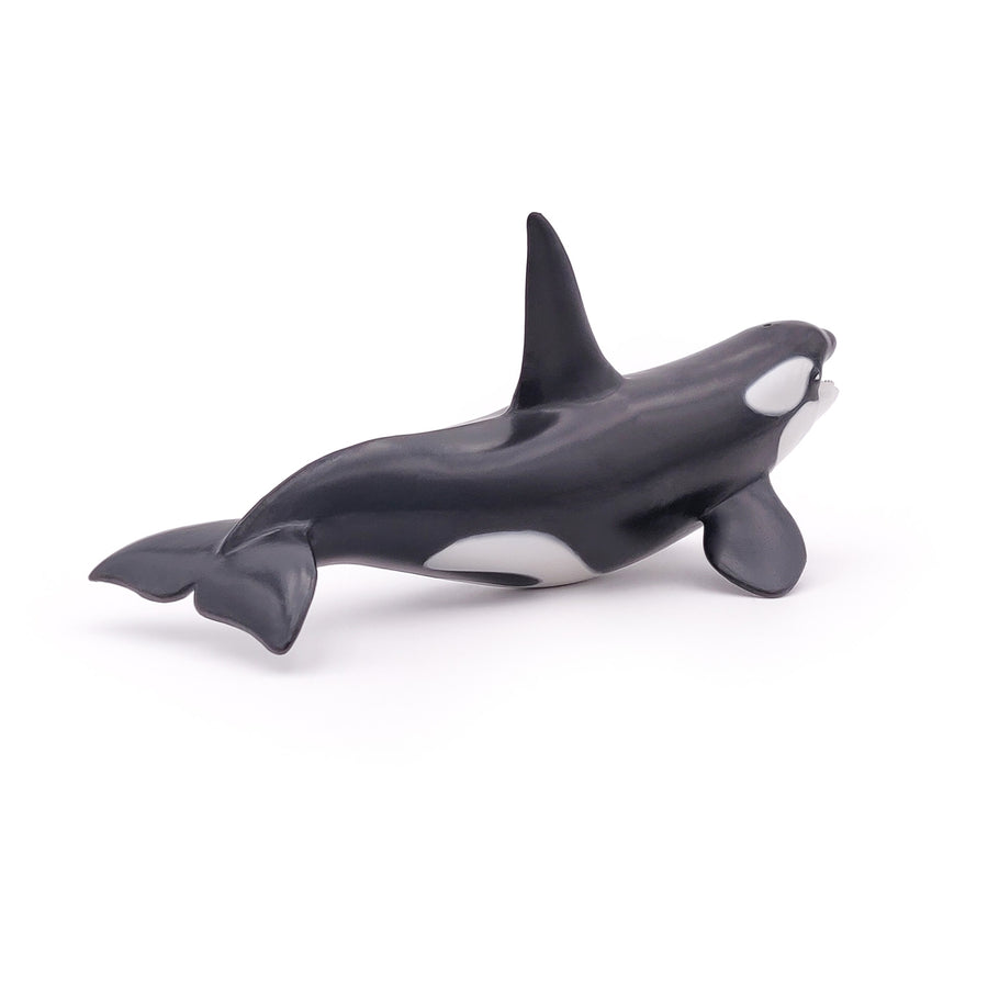 Figurine Orque Papo en PVC, Collection animaux marins, jouet éducatif idéal pour enfants et collectionneurs