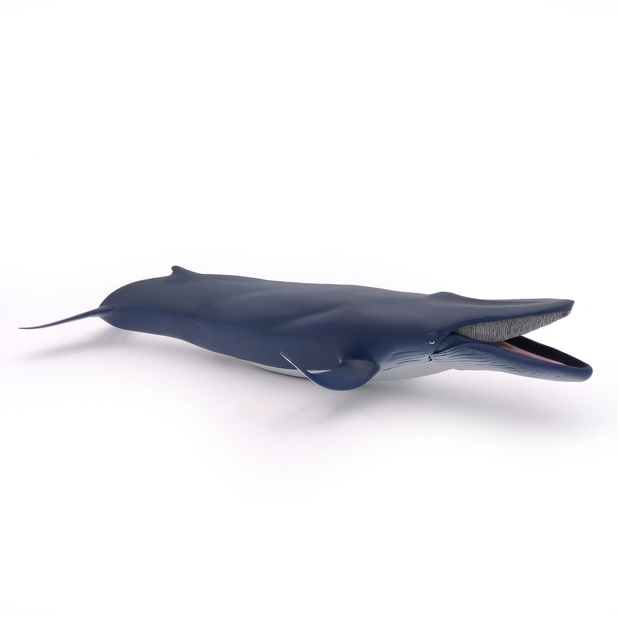 Figurine Baleine bleue Papo en PVC, Collection animaux marins, jouet éducatif idéal pour enfants et collectionneurs