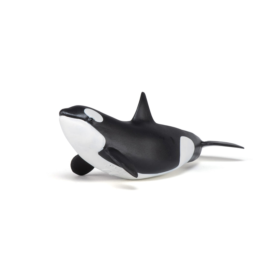 Figurine Bébé orque Papo en PVC, Collection animaux marins, jouet éducatif idéal pour enfants et collectionneurs
