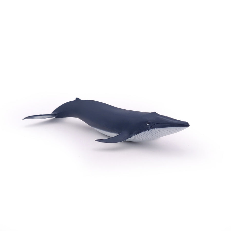 Figurine Bébé baleine bleue Papo en PVC, Collection animaux marins, jouet éducatif idéal pour enfants et collectionneurs